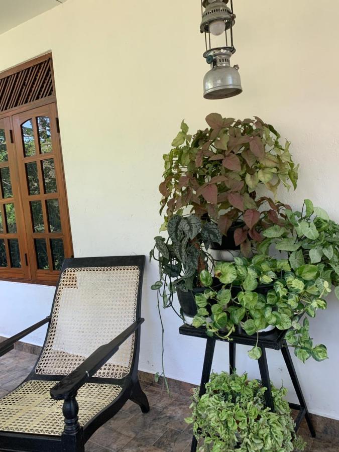 Tranquil Private Villa Near Bentota Beach Bagian luar foto