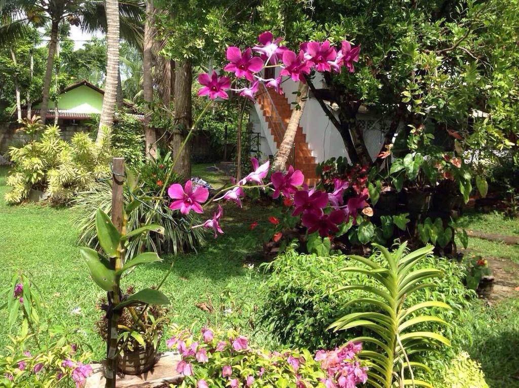 Tranquil Private Villa Near Bentota Beach Bagian luar foto